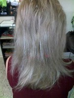 /album/fotogalerie/pred-prodlouzenim/